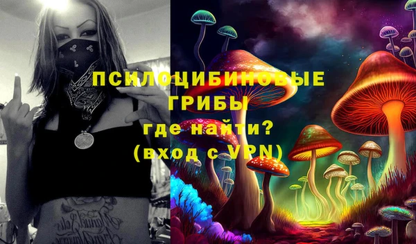 прущая мука Бородино