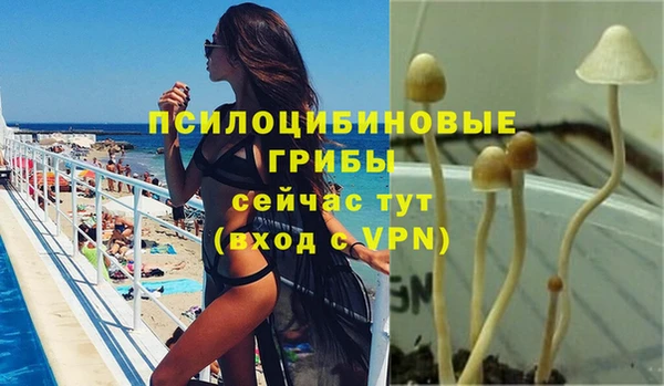 прущая мука Бородино