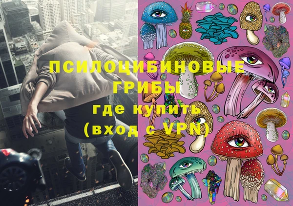 герыч Бронницы